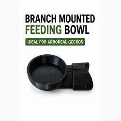 Medium Feeding Bowl - Push...