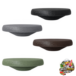 Magnetic Large Gecko Ledge