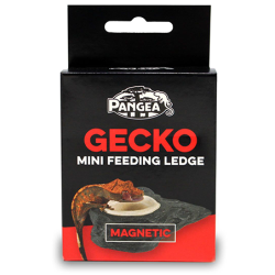 Pangea Mini Magnetic Gecko...