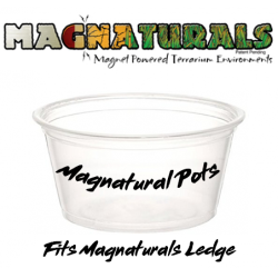 MagNaturals Feeding Pots |...
