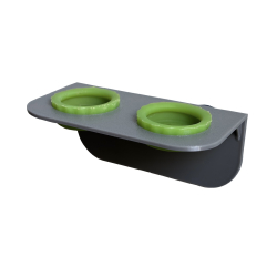 Grey Small Gecko Feeding...