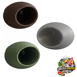 Small Hatchling Gecko Hide...