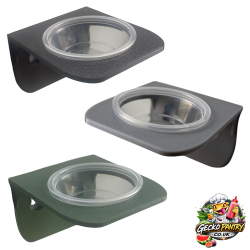 Single Dish Gecko Feeding...