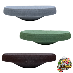 Magnetic Medium Gecko Ledge
