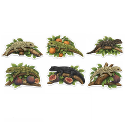 Eurydactylodes Gecko...