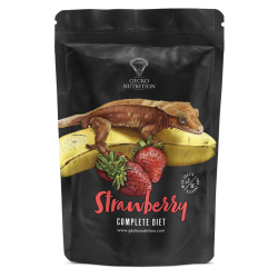 Gecko Nutrition -...
