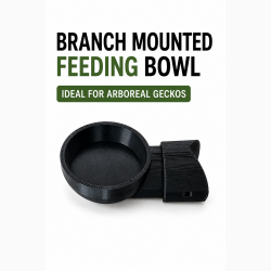 Medium Feeding Bowl - Push...