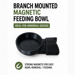 Medium Magnetic Feeding...