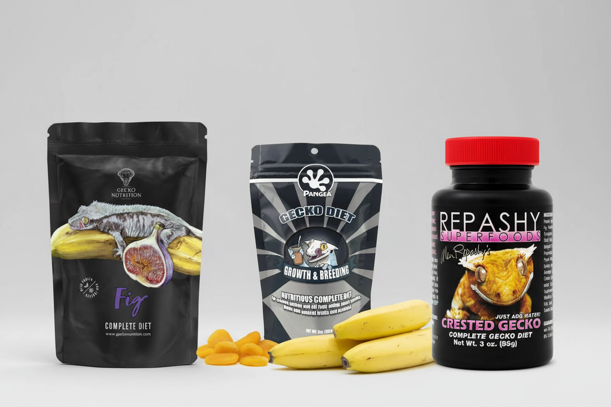 Best Crested Gecko Food UK: CGD Brands Compared (2026)