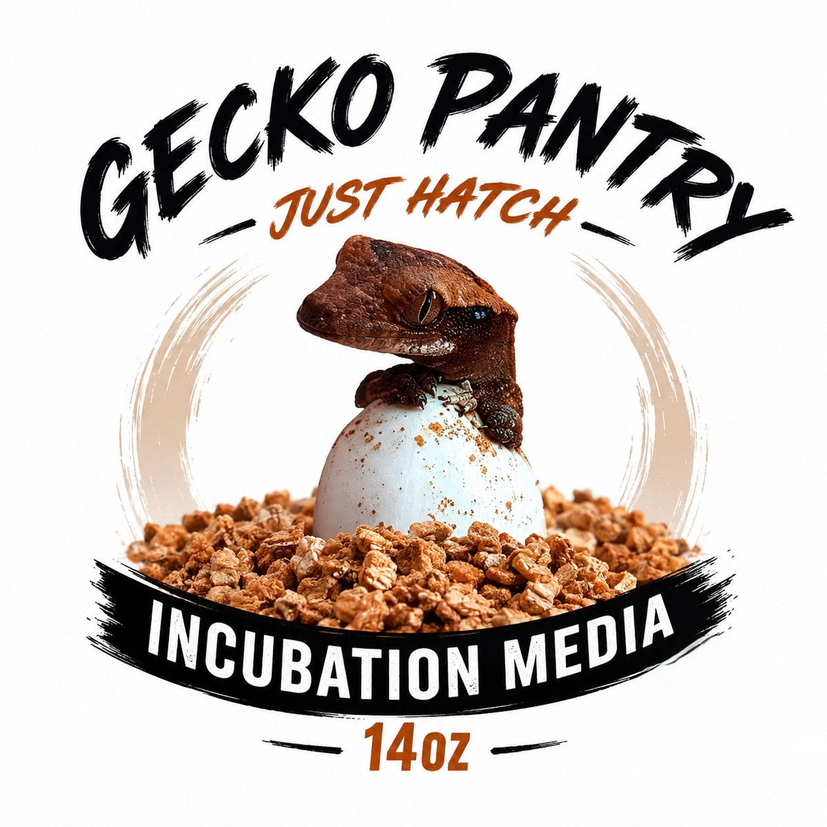 Gecko Incubation