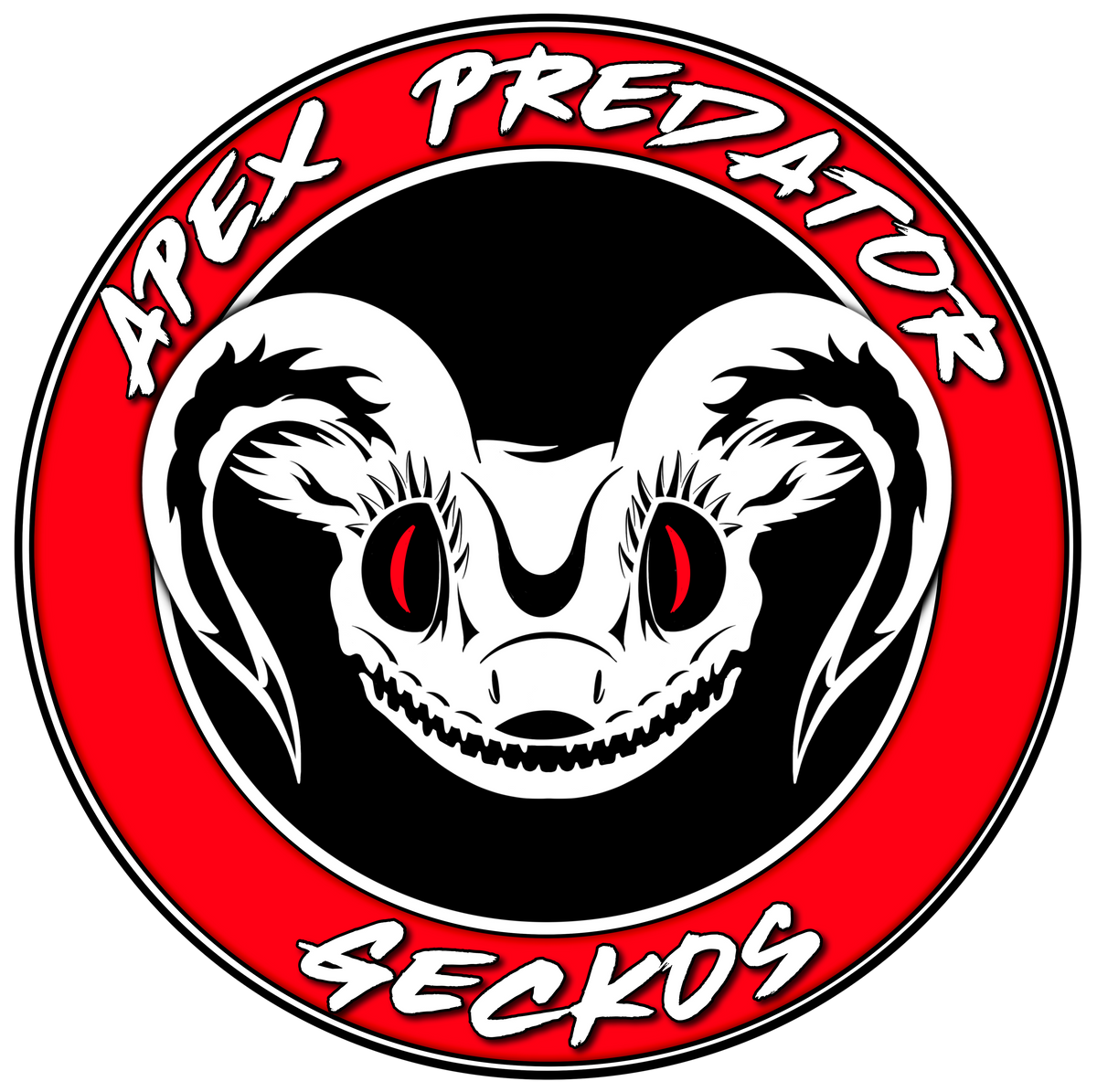 Geckos For Sale