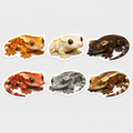 NO:3 CRESTED GECKO STICKER COLLECTION