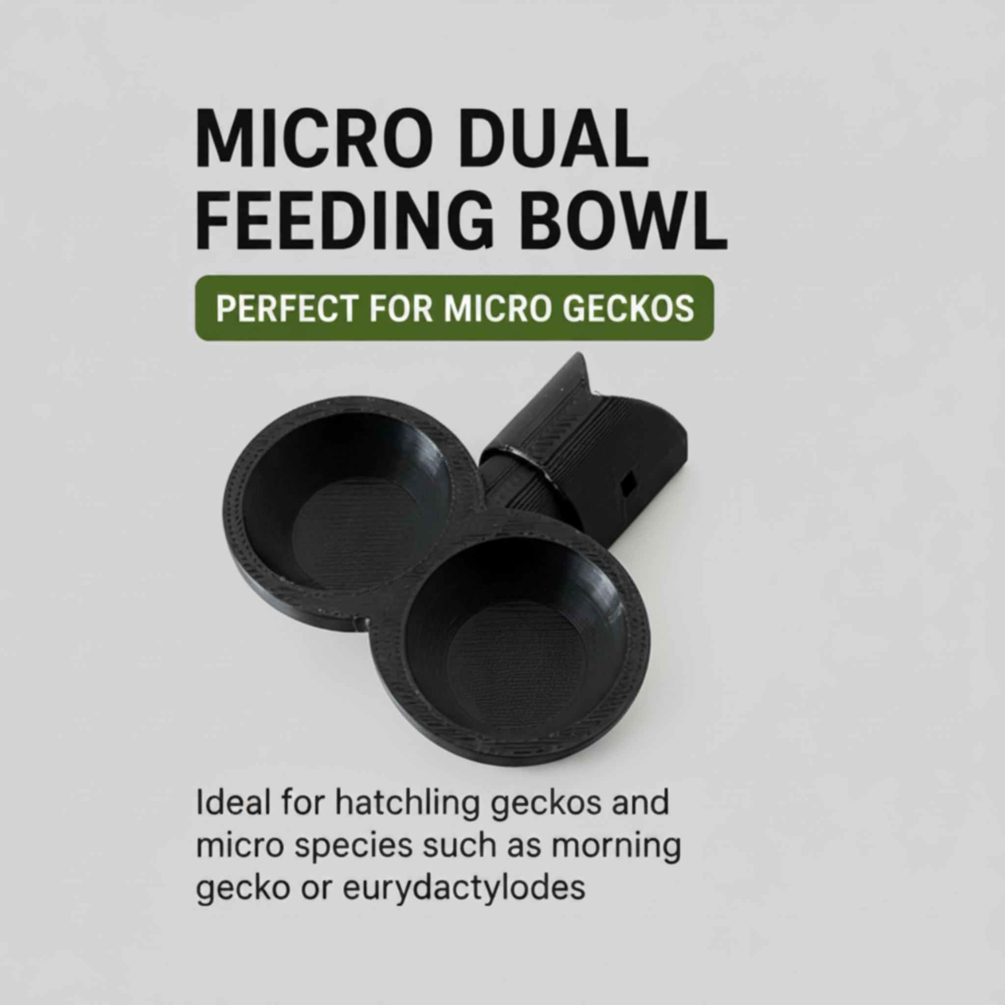 GECKO MICRO DUAL FEEDING BOWL WITH BRANCH FIXTURE