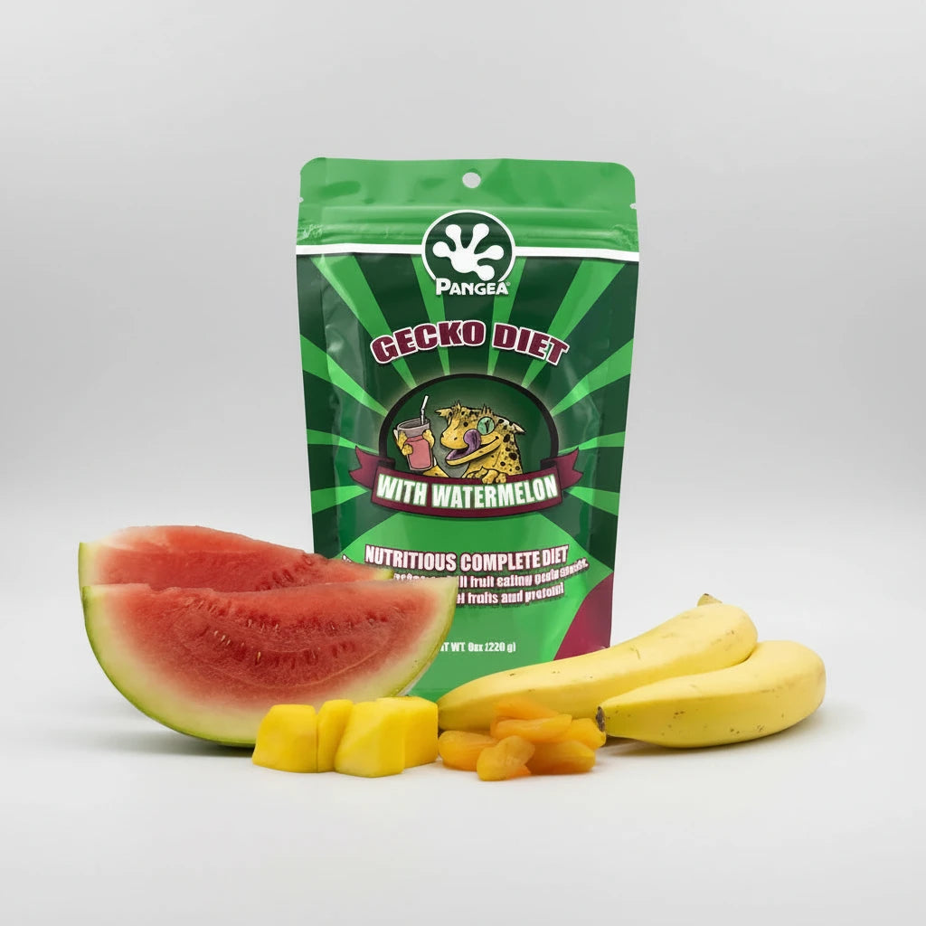 PANGEA GECKO DIET WITH WATERMELON