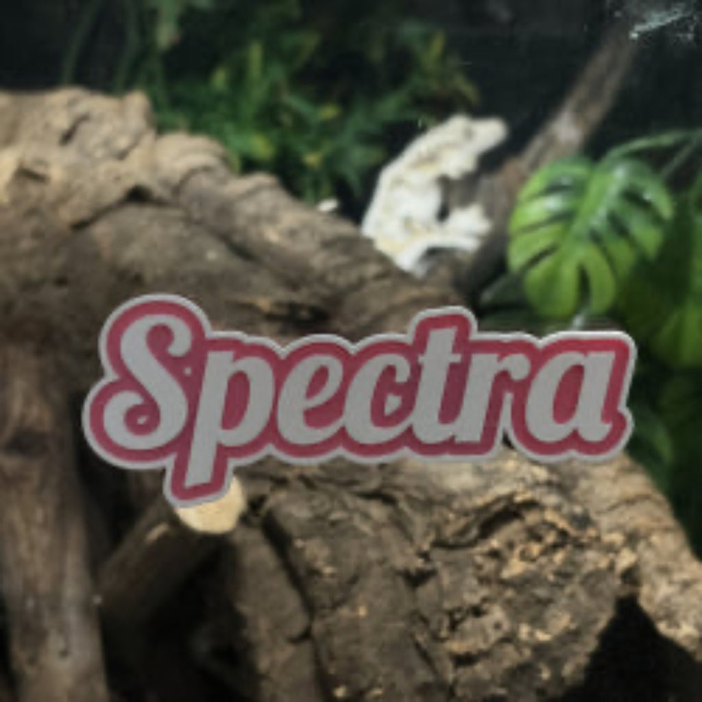 3D CUSTOM NAME PLATE FOR TERRARIUM DECORATION