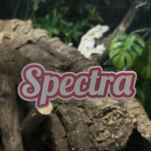3D CUSTOM NAME PLATE FOR TERRARIUM DECORATION