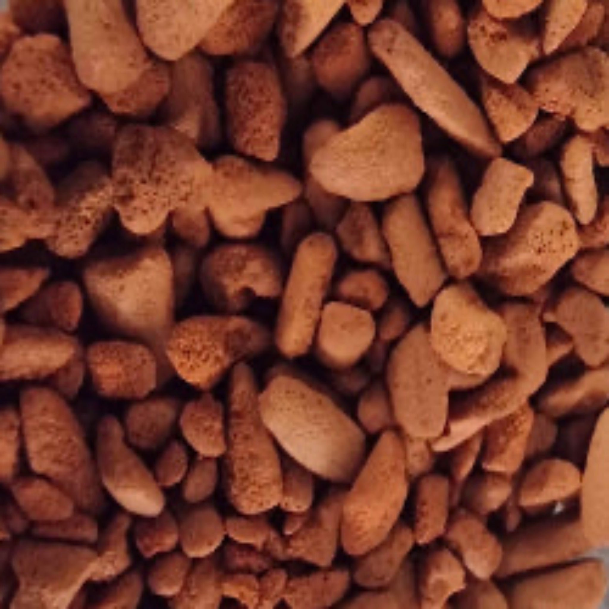 GECKO PANTRY JUST HATCH INCUBATION MEDIA FOR REPTILES
