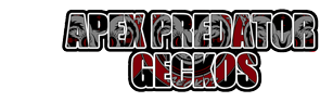 Apex Predator Geckos